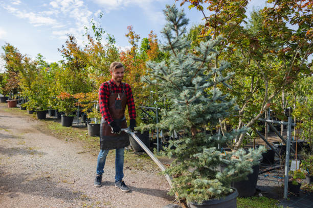 Lawn Pest Prevention in Park City, MT